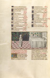 Il Sogno di Astiage da Unbekannt Unbekannt